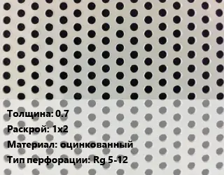 Лист перфорированный 0.7 1х2 оцинкованный Rg 5-12